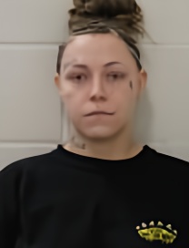 Mugshot of HARLEY WHEELER
