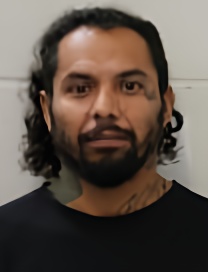 Mugshot of ROMAN E HERNANDEZ