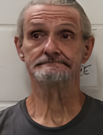 Mugshot of RICHARD DARREL WILKINSON