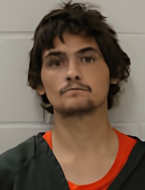 Mugshot of WILLIAM L BERARDY
