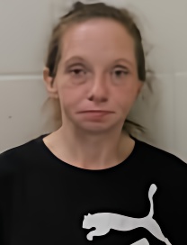Mugshot of PAMELA SCHERRIE MYERS