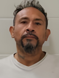 Mugshot of OSCAR M VARGAS