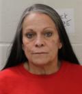 Mugshot of SUSAN JANET KING