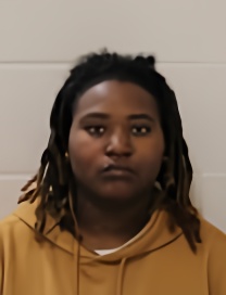 Mugshot of SYDNEI CARRINGTON DOCKERY