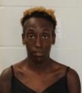 Mugshot of MARLENA S DOTSON