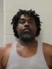 Mugshot of DENNIS L LIVINGSTON