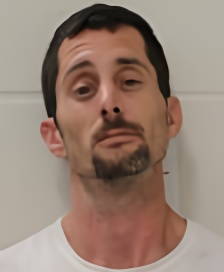 Mugshot of BRETT RAY GRISHAM