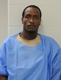 Mugshot of MARCELLE T HORN