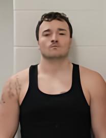 Mugshot of WILLIS JAMES STEELE