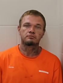 Mugshot of DAKOTA L JEANSONNE