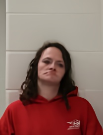 Mugshot of MANDY BROWN