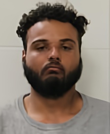 Mugshot of SAYJEN WILSON