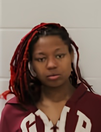 Mugshot of RIA M JOHNSON