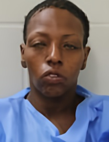 Mugshot of KEYANNA LASHIA HOLLINS