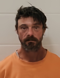 Mugshot of AARON C NEES