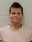 Mugshot of BRANDY L JAMES