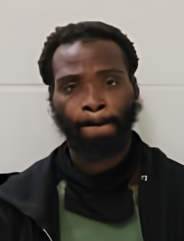 Mugshot of JAMES L DOSS