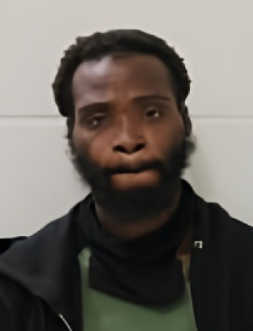 Mugshot of JAMES L DOSS