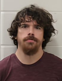 Mugshot of DAVID CLARK JR NOLTE