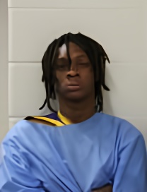 Mugshot of ISRAEL J BARNER