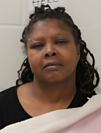 Mugshot of SHAMIKA R WEDLOW