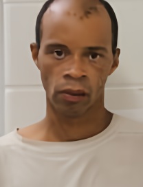 Mugshot of TONY O WARREN