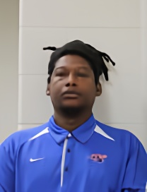 Mugshot of BRANDON S VEREEN