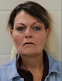 Mugshot of LORI D BURROUGHS