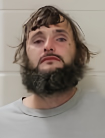 Mugshot of DUSTEN WILSON