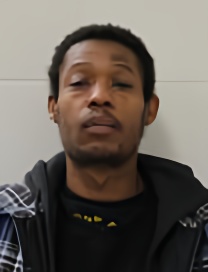 Mugshot of TERRILL J KING