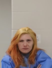 Mugshot of SHAHINA N MCKIERNAN