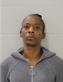 Mugshot of KAREN B GOLDEN