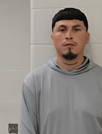 Mugshot of JOSE SARAVIA