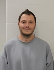 Mugshot of DAVID SAMUEL THEISS