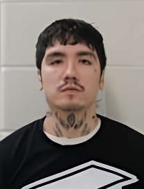 Mugshot of LEE A HUYNH