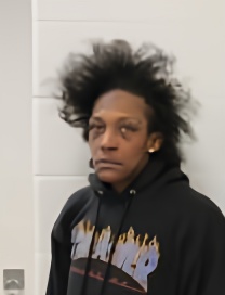 Mugshot of KRISTEN NICOLE ROBINSON