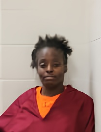 Mugshot of ANTOINETTE D BANKS