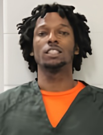 Mugshot of ALAN GANT