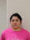 Mugshot of DELMI ORANTES-GARCIA