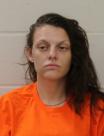 Mugshot of ELIZABETH DAWN PUNSHON