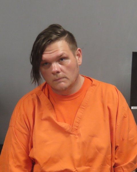 Mugshot of RYAN STAPLETON