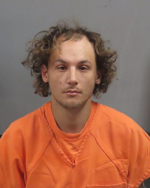 Mugshot of DILLAN KING