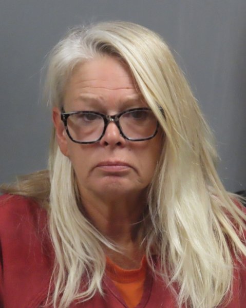 Mugshot of DANA SANDAGE