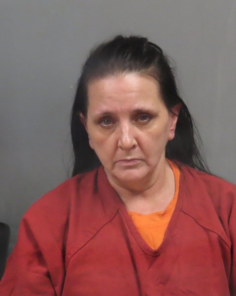 Mugshot of LORI MICHELLE JAMES