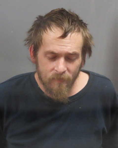 Mugshot of NATHANIEL DAVID WALT