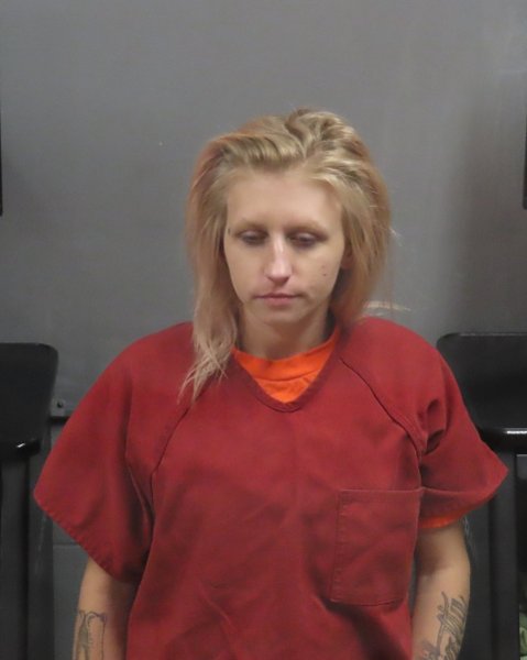 Mugshot of KAYLA MICHELLE FOX