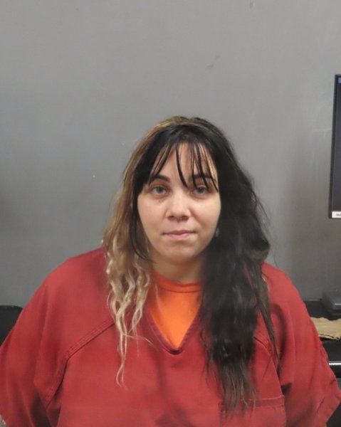 Mugshot of ALISA KAY KELCH