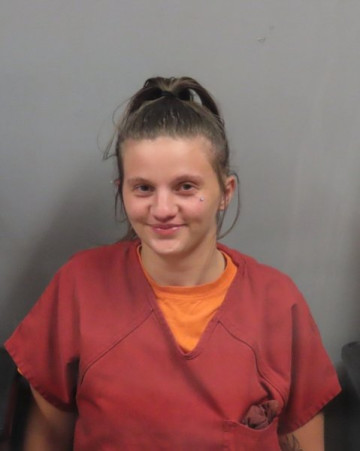 Mugshot of CHELSEA MARIE MITCHELL