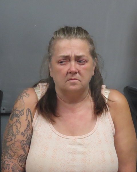 Mugshot of CHRISTY DENISE LAYMAN