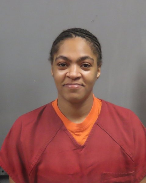 Mugshot of DANA MICHELLE POWELL